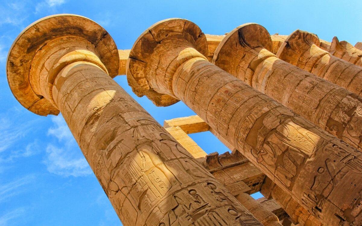 زهرة اللوتس كل ما ترغب في معرفته عن أزهار اللوتس المقدسة